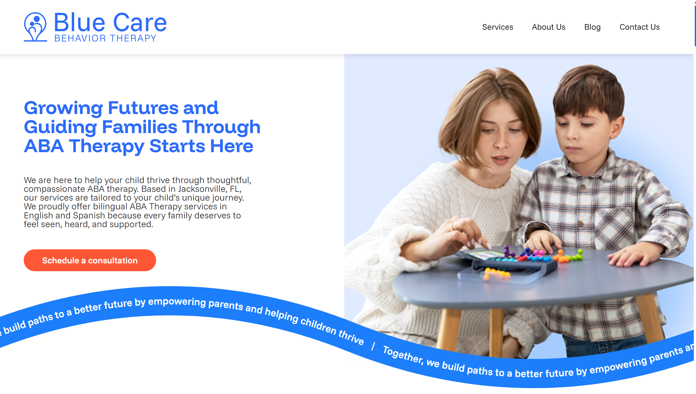 blue care new website