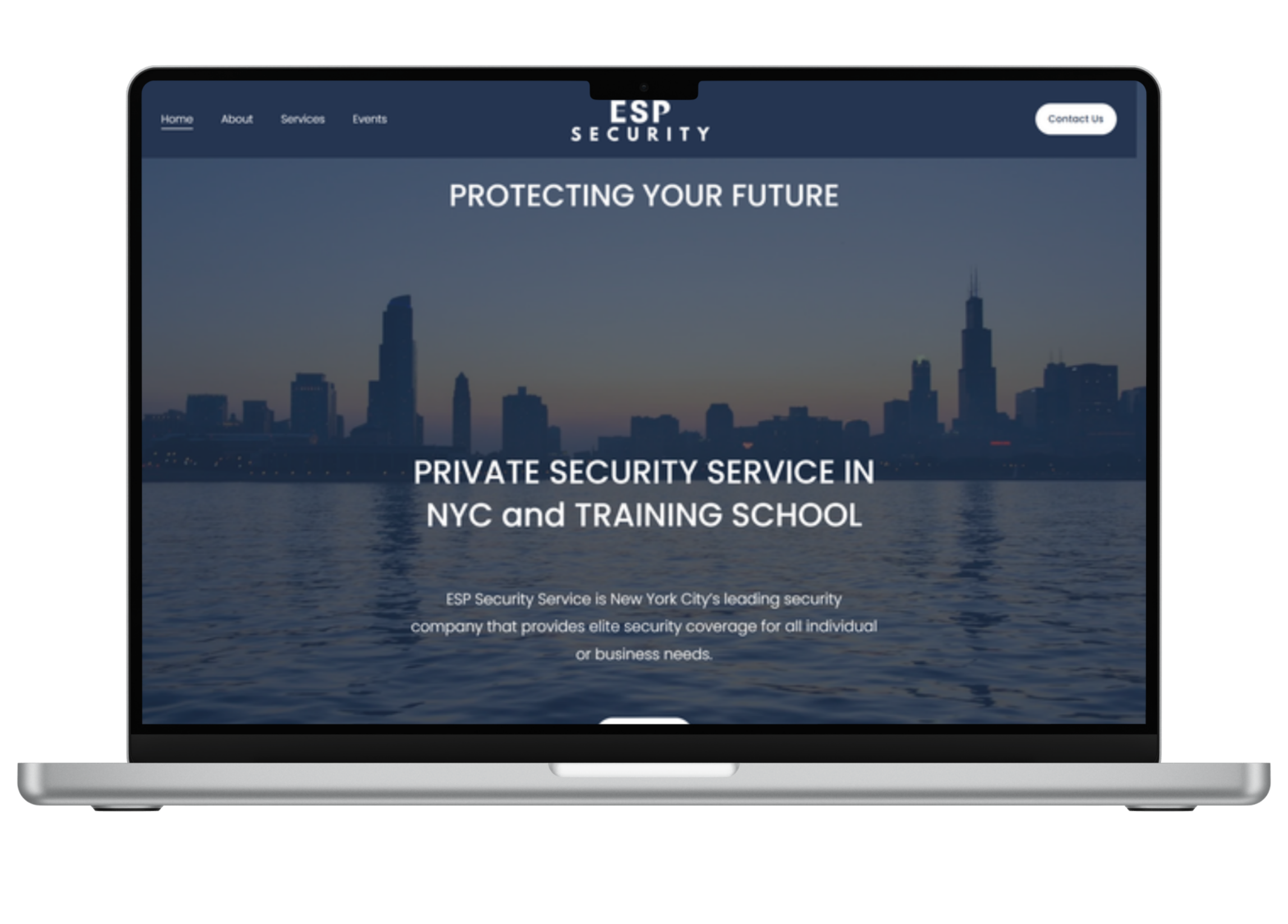 laptop showing professional services website before